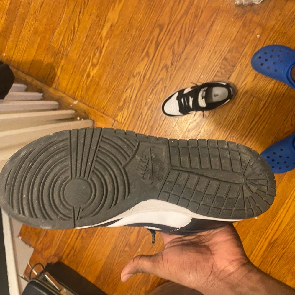 Panda Dunk - image 7